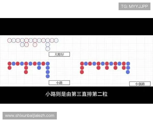 百家乐下三路图解基础教程让玩家轻松掌握玩法技巧全方位解析